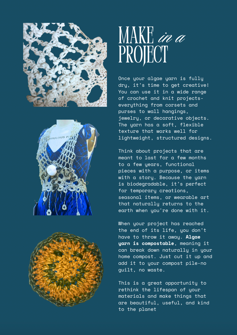 Text and images of crocheted items on a blue background with 'Make in a Project' text.